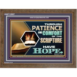 THROUGH PATIENCE AND COMFORT OF THE SCRIPTURE HAVE HOPE  Christian Wall Art Wall Art  GWF12957  "45X33"