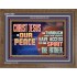 CHRIST JESUS IS OUR PEACE  Christian Paintings Wooden Frame  GWF12967  "45X33"