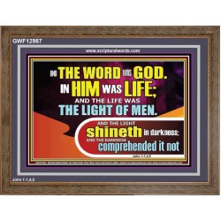 THE LIGHT SHINETH IN DARKNESS YET THE DARKNESS DID NOT OVERCOME IT  Ultimate Power Picture  GWF12987  "45X33"