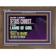 THE LAMB OF GOD WHICH TAKETH AWAY THE SIN OF THE WORLD  Children Room Wall Wooden Frame  GWF12991  