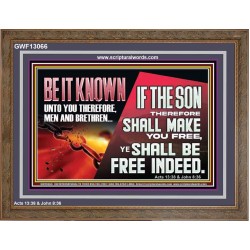 IF THE SON THEREFORE SHALL MAKE YOU FREE  Ultimate Inspirational Wall Art Wooden Frame  GWF13066  "45X33"