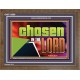 CHOSEN IN THE LORD  Wall Décor Wooden Frame  GWF13099  