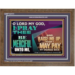 MY GOD RAISE ME UP THAT I MAY PAY MY ENEMIES BACK  Biblical Art Wooden Frame  GWF13111  "45X33"