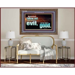 FOLLOW NOT WHICH IS EVIL  Custom Christian Artwork Wooden Frame  GWF10309  "45X33"