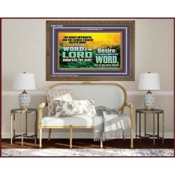 THE WORD OF THE LORD ENDURETH FOR EVER  Christian Wall Décor Wooden Frame  GWF10493  "45X33"
