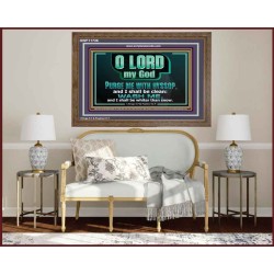 PURGE ME WITH HYSSOP AND I SHALL BE CLEAN  Biblical Art Wooden Frame  GWF11736  "45X33"