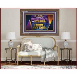 THOU ART MY HIDING PLACE AND SHIELD  Bible Verses Wall Art Wooden Frame  GWF12045  "45X33"