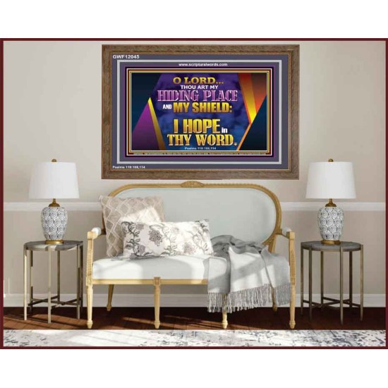 THOU ART MY HIDING PLACE AND SHIELD  Bible Verses Wall Art Wooden Frame  GWF12045  