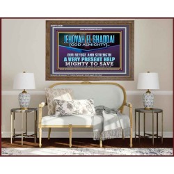 JEHOVAH EL SHADDAI MIGHTY TO SAVE  Unique Scriptural Wooden Frame  GWF12248  "45X33"