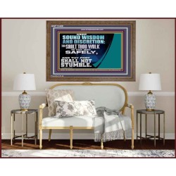 THY FOOT SHALL NOT STUMBLE  Sanctuary Wall Wooden Frame  GWF12408  "45X33"