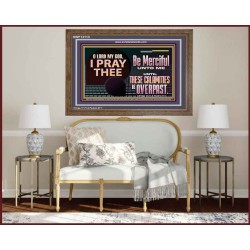 BE MERCIFUL UNTO ME UNTIL THESE CALAMITIES BE OVERPAST  Bible Verses Wall Art  GWF13113  "45X33"