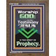 TESTIMONY OF JESUS IS THE SPIRIT OF PROPHECY  Kitchen Wall Décor  GWF10046  