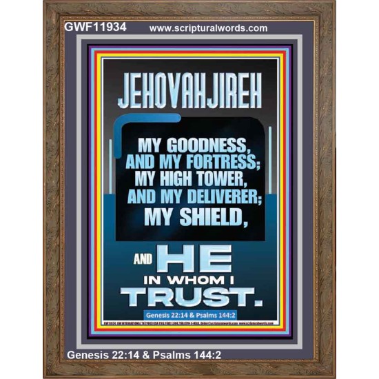 JEHOVAH JIREH MY GOODNESS MY FORTRESS MY HIGH TOWER MY DELIVERER MY SHIELD  Sanctuary Wall Portrait  GWF11934  