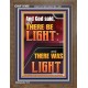 LET THERE BE LIGHT AND THERE WAS LIGHT  Christian Quote Portrait  GWF11998  