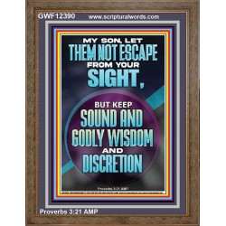 KEEP SOUND AND GODLY WISDOM AND DISCRETION  Bible Verse for Home Portrait  GWF12390  "33x45"