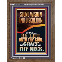 SOUND WISDOM AND DISCRETION SHALL BE LIFE UNTO THY SOUL  Bible Verse for Home Portrait  GWF12391  "33x45"
