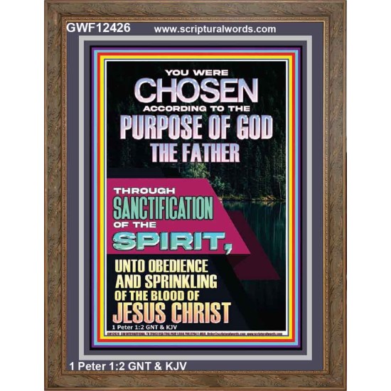 CHOSEN ACCORDING TO THE PURPOSE OF GOD THROUGH SANCTIFICATION OF THE SPIRIT  Unique Scriptural Portrait  GWF12426  