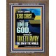 LAMB OF GOD WHICH TAKETH AWAY THE SIN OF THE WORLD  Ultimate Inspirational Wall Art Portrait  GWF12943  