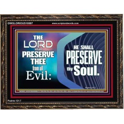THY SOUL IS PRESERVED FROM ALL EVIL  Wall Décor  GWGLORIOUS10087  "45X33"