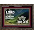 THE LORD WILL UNDO ALL THY AFFLICTIONS  Custom Wall Scriptural Art  GWGLORIOUS10301  "45X33"