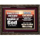 BEWARE OF THE CARE OF THIS LIFE  Unique Bible Verse Wooden Frame  GWGLORIOUS10317  