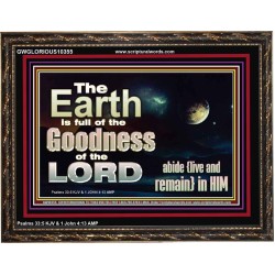 EARTH IS FULL OF GOD GOODNESS ABIDE AND REMAIN IN HIM  Unique Power Bible Picture  GWGLORIOUS10355  "45X33"