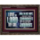 WALK IN ALL THE WAYS OF THE LORD  Righteous Living Christian Wooden Frame  GWGLORIOUS10375  