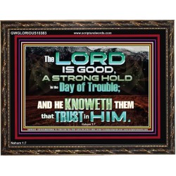 TRY HIM THE LORD IS GOOD ALL THE TIME  Ultimate Power Picture  GWGLORIOUS10383  "45X33"