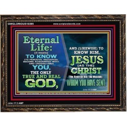 ETERNAL LIFE IS TO KNOW AND DWELL IN HIM CHRIST JESUS  Church Wooden Frame  GWGLORIOUS10395  "45X33"