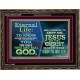 ETERNAL LIFE IS TO KNOW AND DWELL IN HIM CHRIST JESUS  Church Wooden Frame  GWGLORIOUS10395  