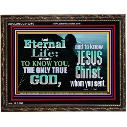 ETERNAL LIFE ONLY THROUGH CHRIST JESUS  Children Room  GWGLORIOUS10396  "45X33"
