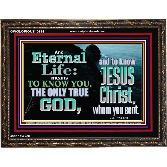 ETERNAL LIFE ONLY THROUGH CHRIST JESUS  Children Room  GWGLORIOUS10396  