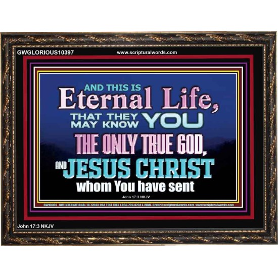 CHRIST JESUS THE ONLY WAY TO ETERNAL LIFE  Sanctuary Wall Wooden Frame  GWGLORIOUS10397  