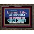 CHRIST JESUS THE ONLY WAY TO ETERNAL LIFE  Sanctuary Wall Wooden Frame  GWGLORIOUS10397  "45X33"