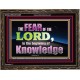 FEAR OF THE LORD THE BEGINNING OF KNOWLEDGE  Ultimate Power Wooden Frame  GWGLORIOUS10401  