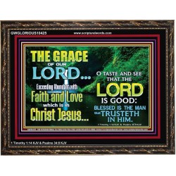 SEEK THE EXCEEDING ABUNDANT FAITH AND LOVE IN CHRIST JESUS  Ultimate Inspirational Wall Art Wooden Frame  GWGLORIOUS10425  "45X33"