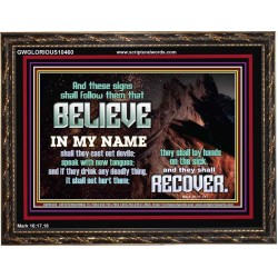 IN MY NAME SHALL THEY CAST OUT DEVILS  Christian Quotes Wooden Frame  GWGLORIOUS10460  "45X33"