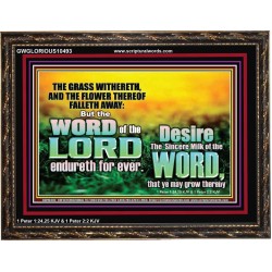 THE WORD OF THE LORD ENDURETH FOR EVER  Christian Wall Décor Wooden Frame  GWGLORIOUS10493  "45X33"
