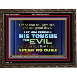 KEEP YOUR TONGUES FROM ALL EVIL  Bible Scriptures on Love Wooden Frame  GWGLORIOUS10497  "45X33"