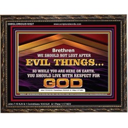 DO NOT LUST AFTER EVIL THINGS  Children Room Wall Wooden Frame  GWGLORIOUS10527  "45X33"