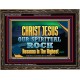 CHRIST JESUS OUR ROCK HOSANNA IN THE HIGHEST  Ultimate Inspirational Wall Art Wooden Frame  GWGLORIOUS10529  