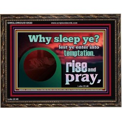 WHY SLEEP YE RISE AND PRAY  Unique Scriptural Wooden Frame  GWGLORIOUS10530  