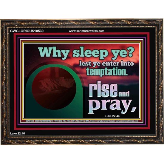 WHY SLEEP YE RISE AND PRAY  Unique Scriptural Wooden Frame  GWGLORIOUS10530  