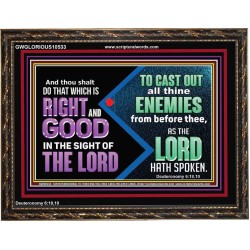 DO THAT WHICH IS RIGHT AND GOOD IN THE SIGHT OF THE LORD  Righteous Living Christian Wooden Frame  GWGLORIOUS10533  "45X33"