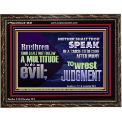 DO NOT FOLLOW MULTITUDE TO DO EVIL  Eternal Power Wooden Frame  GWGLORIOUS10534  "45X33"