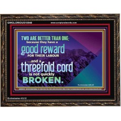 TWO ARE BETTER THAN ONE  Contemporary Christian Wall Art Wooden Frame  GWGLORIOUS10548  "45X33"