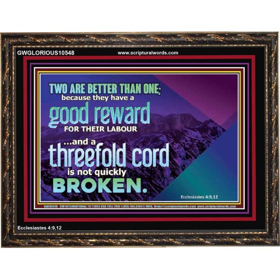 TWO ARE BETTER THAN ONE  Contemporary Christian Wall Art Wooden Frame  GWGLORIOUS10548  