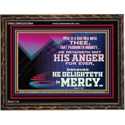 THE LORD DELIGHTETH IN MERCY  Contemporary Christian Wall Art Wooden Frame  GWGLORIOUS10564  "45X33"