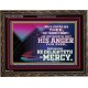 THE LORD DELIGHTETH IN MERCY  Contemporary Christian Wall Art Wooden Frame  GWGLORIOUS10564  