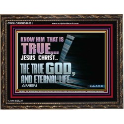 JESUS CHRIST THE TRUE GOD AND ETERNAL LIFE  Christian Wall Art  GWGLORIOUS10581  "45X33"